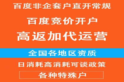 百度广告投放技巧：案例解析助力品牌增长